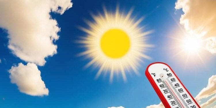الأرصاد: طقس شديد الحرارة اليوم.. وشبورة صباحية