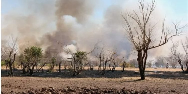 الجيش السوداني يجلي مواطنين حاصرتهم فيضانات نهر القاش بكسلا