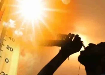 ارتفاع درجات الحرارة والرطوبة اليوم الخميس.. و”الأرصاد” تحذر من شبورة كثيفة