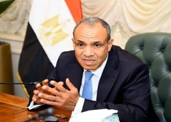 وزير الخارجية: مصر تواصل جهودها لوقف العدوان الإسرائيلي وتخفيف معاناة الفلسطينيين