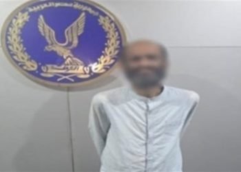 ضبط شخص بالإسكندرية لتعديه بالضرب على قطة بالعصا