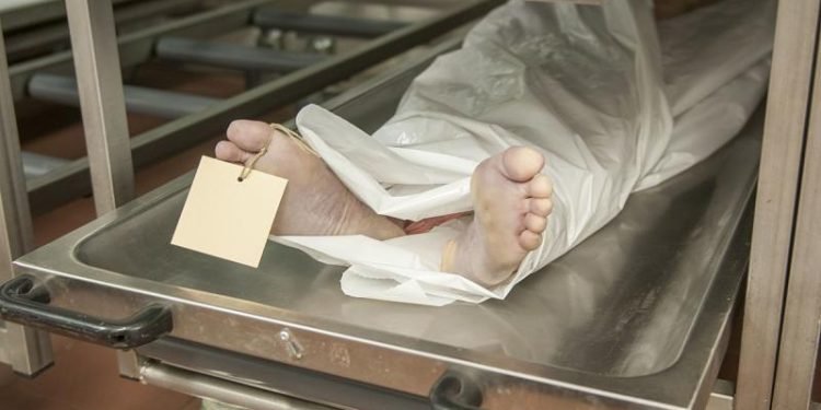 خلافات عائلية تنتهي بمقتل خمسيني على يد نجل شقيقه في قنا