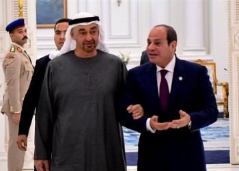 بن زايد يشيد بتطور العلاقات المصرية الإماراتية في مختلف المجالات