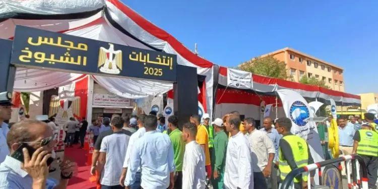 الهيئة الوطنية للانتخابات: إغلاق 95% من لجان الشيوخ وسط انتظام العملية