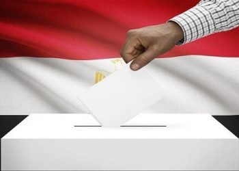 انطلاق تصويت المصريين بالخارج في انتخابات مجلس الشيوخ 2025 من نيوزيلندا وأستراليا