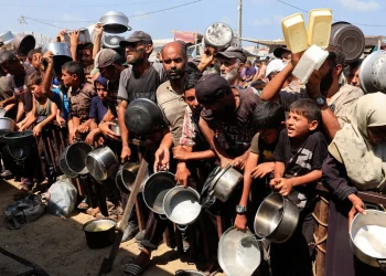 الأمم المتحدة: نصف مليون شخص في غزة يواجهون المجاعة