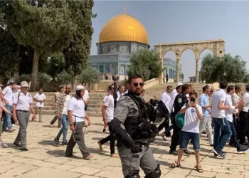 اقتحامات للأقصى وارتفاع شهداء غزة وسط المجاعة المستمرة