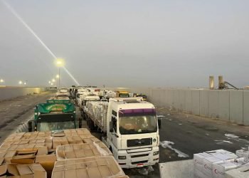 الهلال الأحمر المصري يرسل 1500 طن مساعدات إنسانية إلى غزة