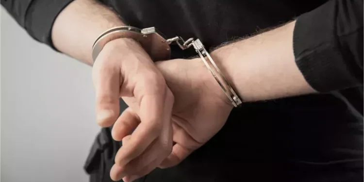 حبس البلوجر سمسم مصر وزوجته قطة لاعتدائهما على شخص