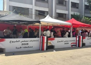 “حماة الوطن”: انتخابات الشيوخ 2025 جسّدت صورة حضارية لمصر وأكدت وعي الشعب