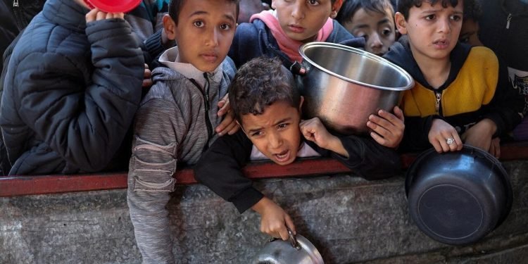 وفاة 5 أشخاص في غزة خلال 24 ساعة جراء التجويع وسوء التغذية