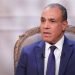 وزير الخارجية: استهداف السفارات المصرية محاولة لتشويه الدور الوطني