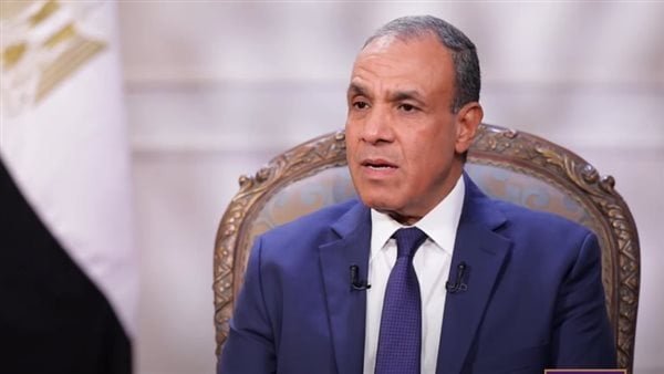 وزير الخارجية: استهداف السفارات المصرية محاولة لتشويه الدور الوطني