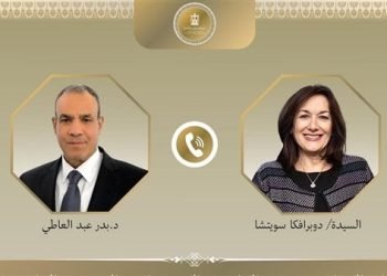 وزير الخارجية يؤكد لمسؤولة أوروبية رفض مصر القاطع لسياسات إسرائيل