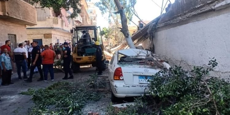 وسط صدمة الأهالي.. تحطم 6 سيارات جراء سقوط سور شركة شرق الإسكندرية