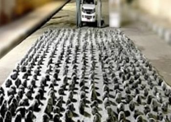 ضبط سلامة الطفشان لاتهامه بالإتجار في المواد المخدرة بدكرنس في الدقهلية