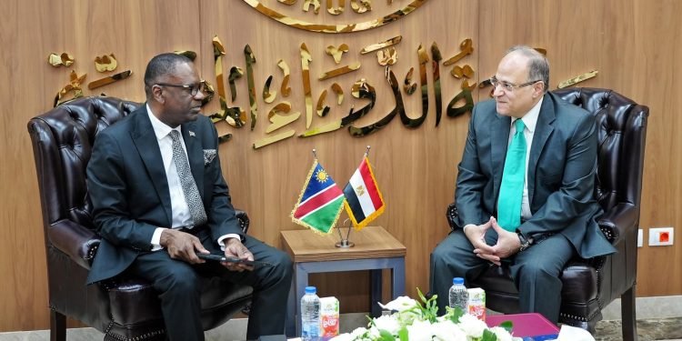 رئيس هيئة الدواء وسفير ناميبيا يناقشان تنظيم قطاع الأدوية بمصر