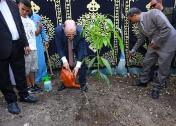 محافظ كفرالشيخ يطلق مبادرة لزراعة الأشجار المثمرة «كفرالشيخ للأخضر»