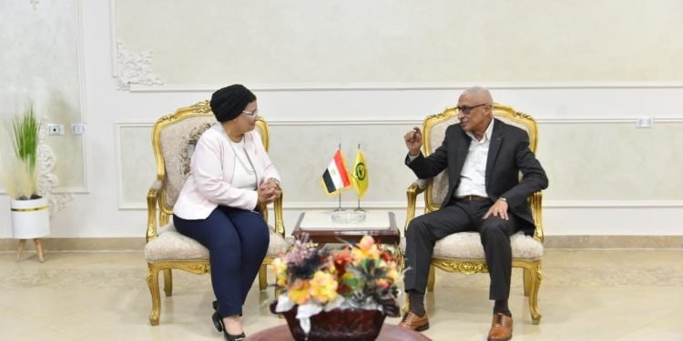 محافظ شمال سيناء يستقبل نائب وزير الصحة لتعزيز تنفيذ الخطة العاجلة للسكان والتنمية