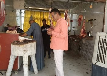 حملات تموينية مكثفة بالأقصر تضبط مخالفات غذائية متنوعة