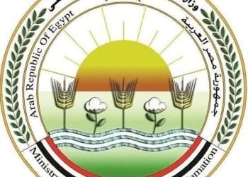 مركز البحوث الزراعية يوضح حقيقة إعلانات زيت الزيتون المتداولة