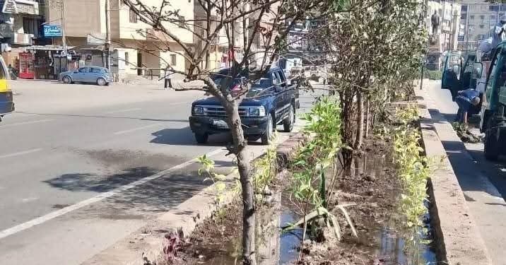 محافظة الغربية تطلق حملات نظافة وتشجير متواصلة لاستعادة المظهر الحضاري