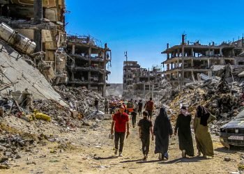 برلماني أيرلندي: غزة تواجه كارثة إنسانية والمجتمع الدولي متواطئ بالصمت