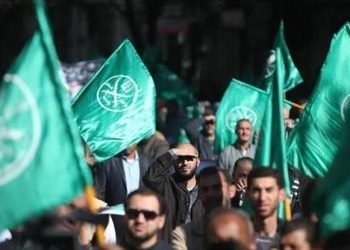 نائب بالشيوخ يدين حملات الإخوان الإرهابية ضد السفارات المصرية