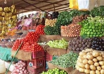 استقرار أسعار الخضروات والفاكهة في الأسواق المصرية الأحد اليوم