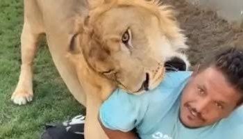 ليبي يُطلق أسد على عامل مصري وغضب شديد داخل البلدين| القصة الكاملة