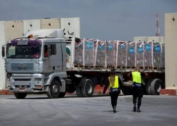 قافلة “زاد العزة” المصرية تواصل دعم غزة بـ2400 طن مساعدات