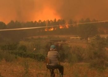 موجة حر قاتلة بالبرتغال تتسبب في وفاة 1331 شخصًا