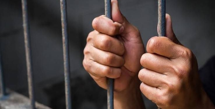 حبس 15 متهما لاستغلال أطفال في التسول بمناطق التجمع والقطامية