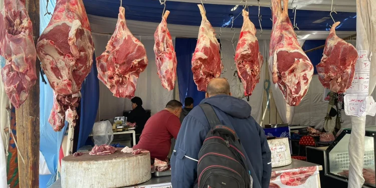 معارض “أهلاً مدارس” بالجيزة تطرح سلعًا غذائية ولحومًا بتخفيضات لمواجهة الغلاء