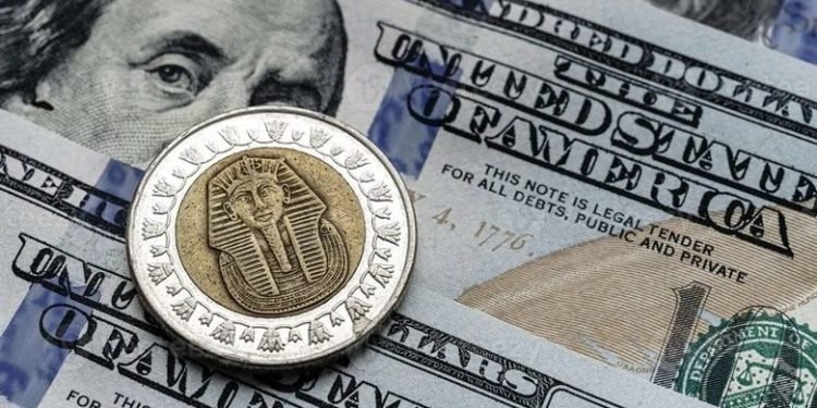 استقرار سعر الدولار أمام الجنيه بختام تعاملات السبت 20 سبتمبر