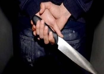 جزمجي يطعن زوجته بسكين في المحلة الكبرى