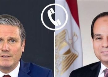 السيسي لرئيس وزراء بريطانيا: أي تحرك لتهجير الفلسطينيين قد يفضي لموجات نزوح