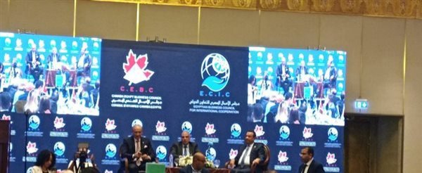 وزير الري: مصر غير قادرة على تحقيق الاكتفاء الذاتي من القمح