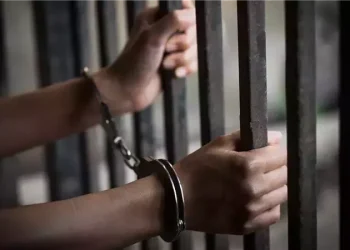 النيابة تحيل 3 عاطلين للمحاكمة بتهمة الاعتداء على مواطنين بروض الفرج