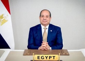 السيسي: مصر أعدت خطة شاملة للتعافي المبكر
