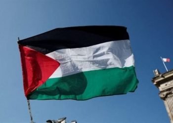 وزير الخارجية الألماني: لا بديل عن إقامة دولة فلسطينية وحل الدولتين