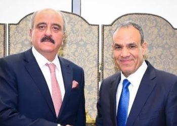 وزيرا خارجية مصر وتونس: وحدة الصف العربي ركيزة لدعم القضية الفلسطينية