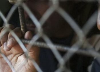 استدرجها وأجبرها على أفعال خادشة.. حبس المتهم بالتحرش بطفلة في شبين القناطر