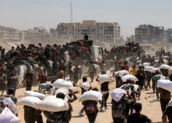 وزارة الصحة بغزة: 38 شهيدًا و200 مصاب خلال 24 ساعة فقط