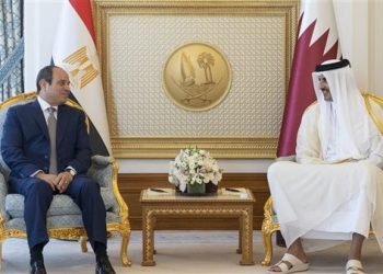 السيسي وأمير قطر والعاهل الأردني يجرون اتصالًا مرئيًا مع قادة فرنسا وبريطانيا وكندا