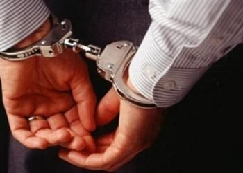 تجديد حبس المتهم بسرقة نمر من سيرك أنوسة كوتة في مارينا 15 يومًا