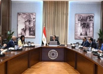 رئيس الوزراء يلتقي المدير التنفيذي لمصر بمجموعة البنك الدولي