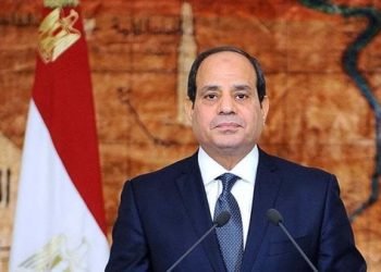 السيسي يلتقي وزير خارجية إيران ومدير عام الوكالة الدولية للطاقة الذرية