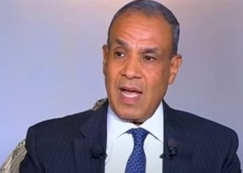 وزير الخارجية: لن نسمح لدولة إقليمية غير عربية بفرض إرادتها على المنطقة