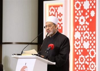 شيخ الأزهر لـ السيسي: نقدر موقفكم الثابت بحماية القضية الفلسطينية ورفضكم مؤامرات التهجير